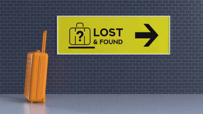 The Ultimate Guide to Pet Safety in India: Why Every Dog Needs an NFC Tag